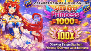 struktur sistem Starlight Princess 1000